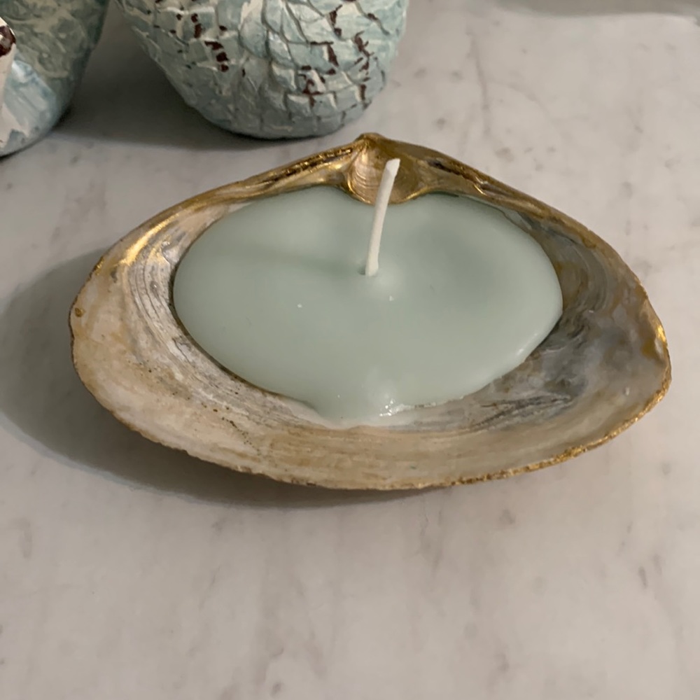 Homemade Ocean Breeze Scented Seashell Candle